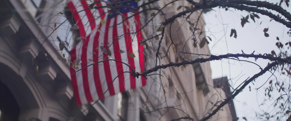 View of the american flag from between the tree hanging from building