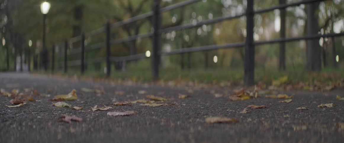Leaves across a public park pathway