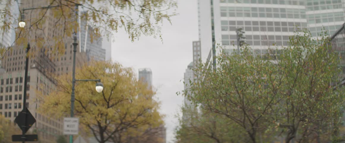 Trees and buildings in city downtown