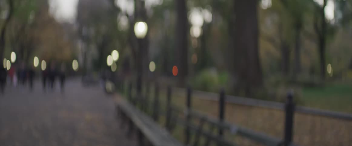 Lamp posts in a city park glow at dusk as people walk on the path