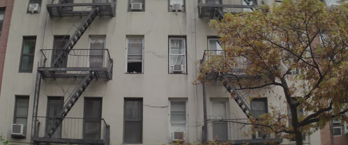 The fire escapes run on both sides of the apartment building