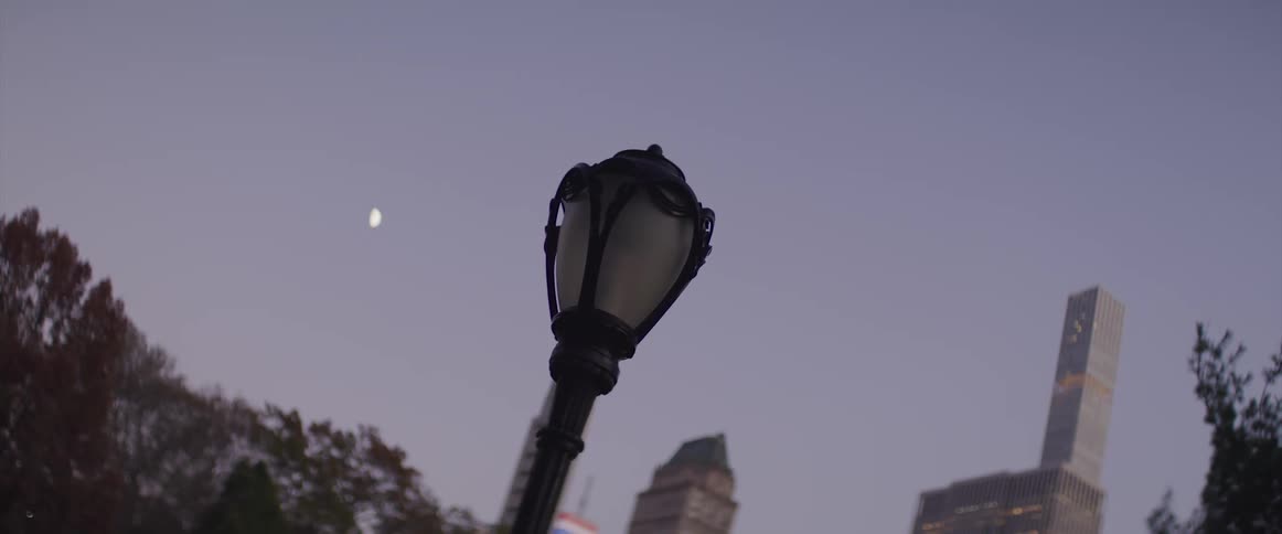A lamp sits in a park in a city