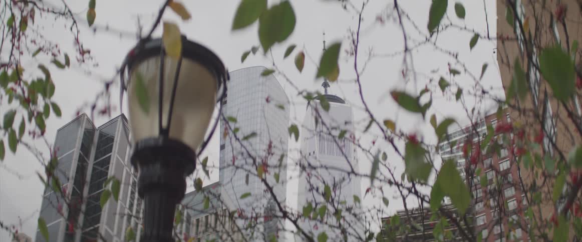 Lamp post stands near the leaves of a tree in the city