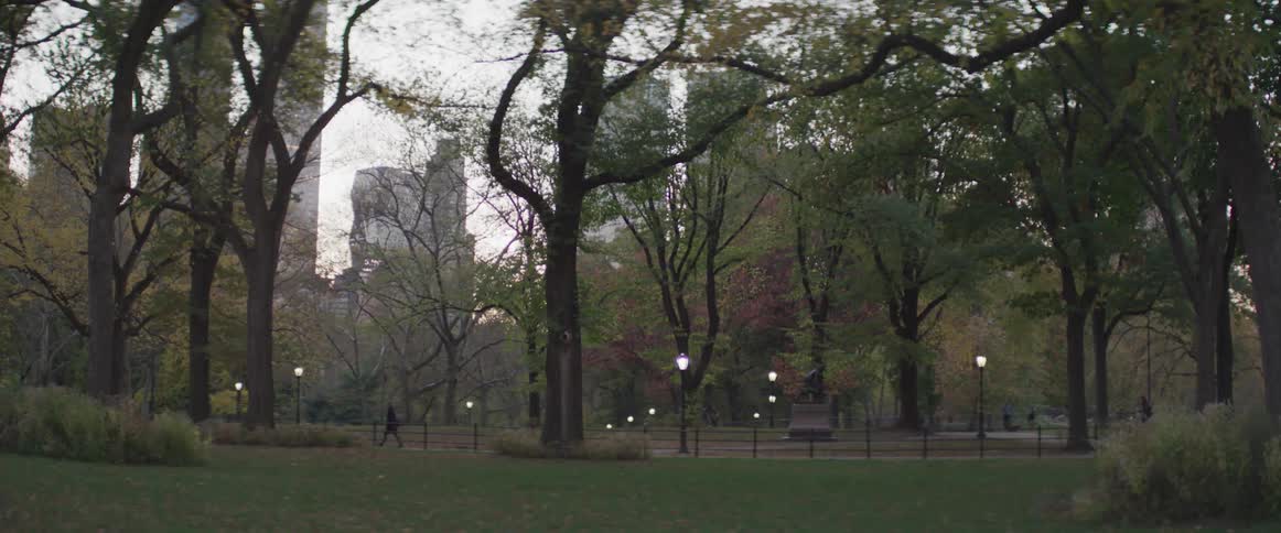 Someone walking in the park by the trees near the buildings