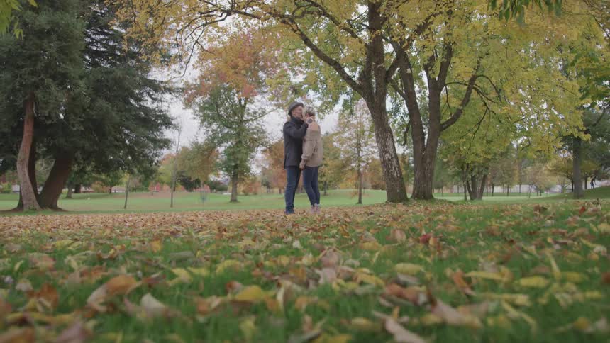 Male places his hands on the females face and kisses her as they stand among the trees in a park and leaves fall all around them