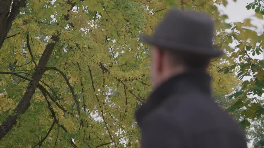 Man wearing a hat and overcoat looks up at the trees in the public park