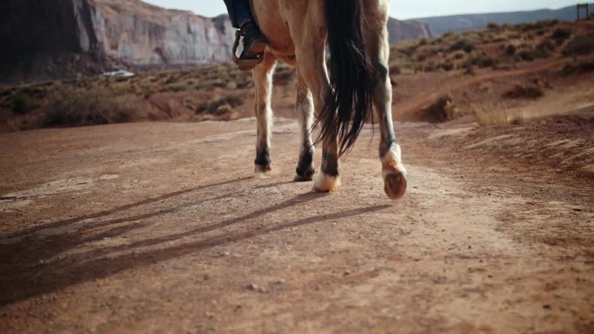 Horse with rider walking slowly across the desert floor at sunset