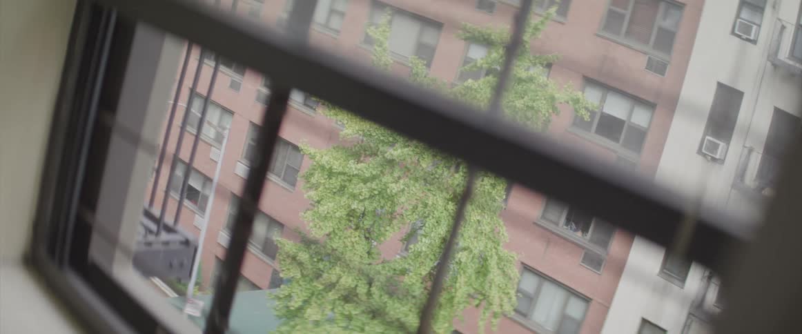 Apartment buildings out the window of another apartment
