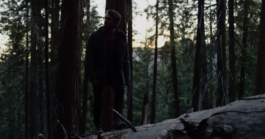 A man walks across a fallen log bridge looking around at the forest trees