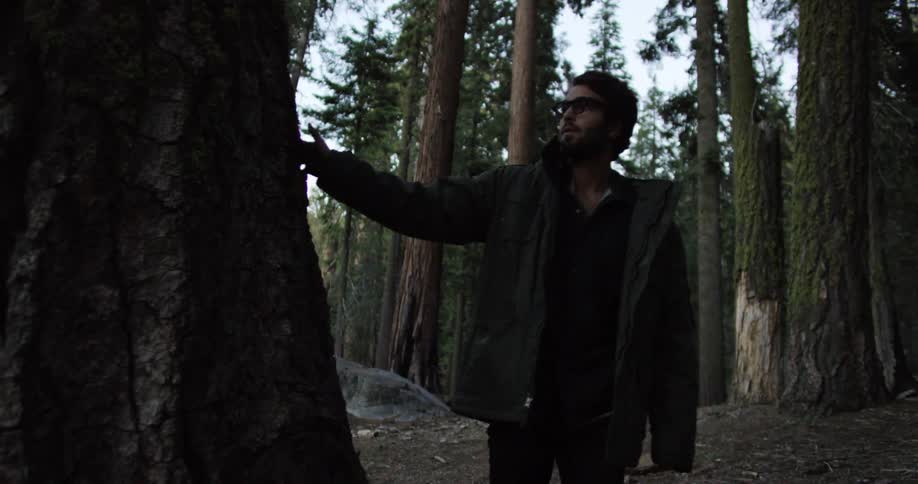 A man walks around a forest area and holds his hand to a large tree