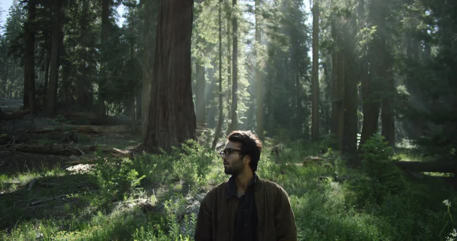 A man wearing glasses stands in a lush forest and looks around