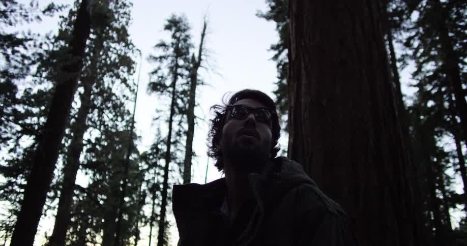 Man standing in the forest among large trees and looking around