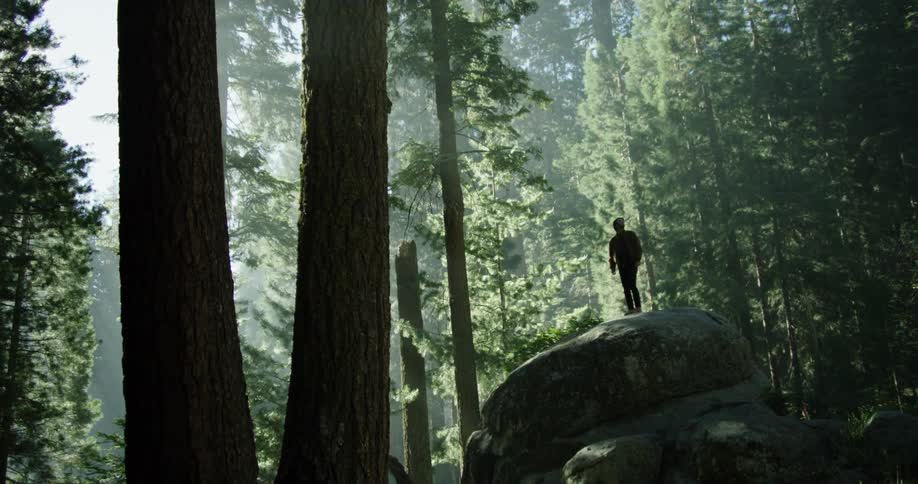 A man stands on a large rock in the middle of a dense forest