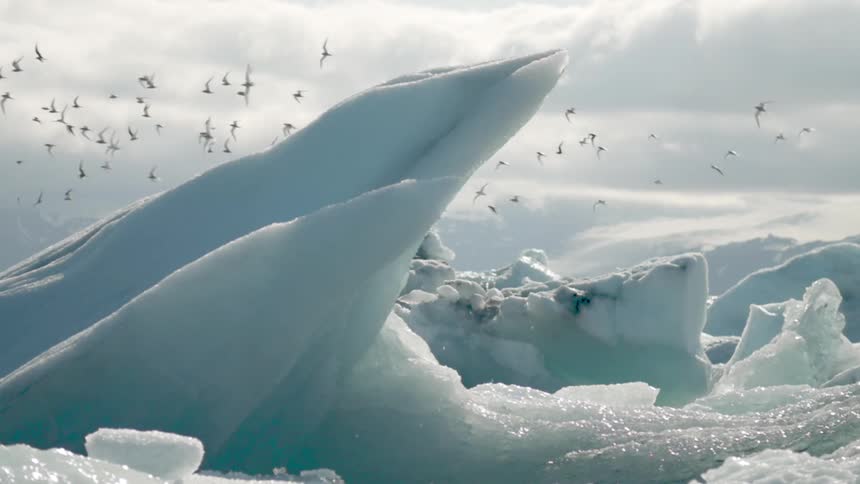 Birds fly past a glacier formation on a cloudy day