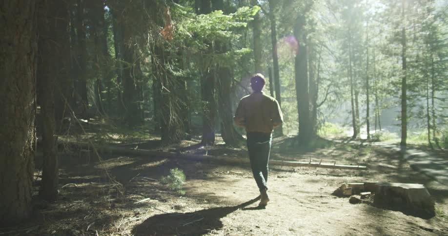 Man walks in the forest while the sun shines