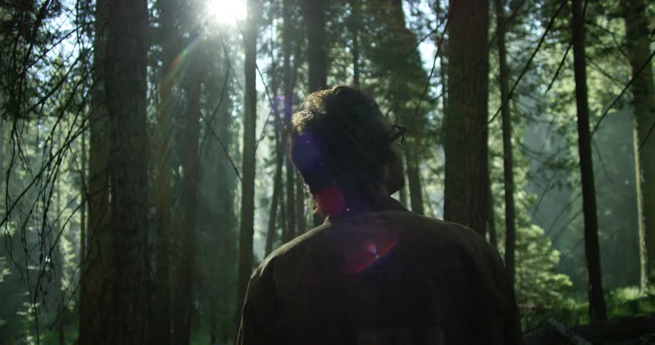 Male standing in the middle of the forest looks up and around as the sun shines down on him through the trees