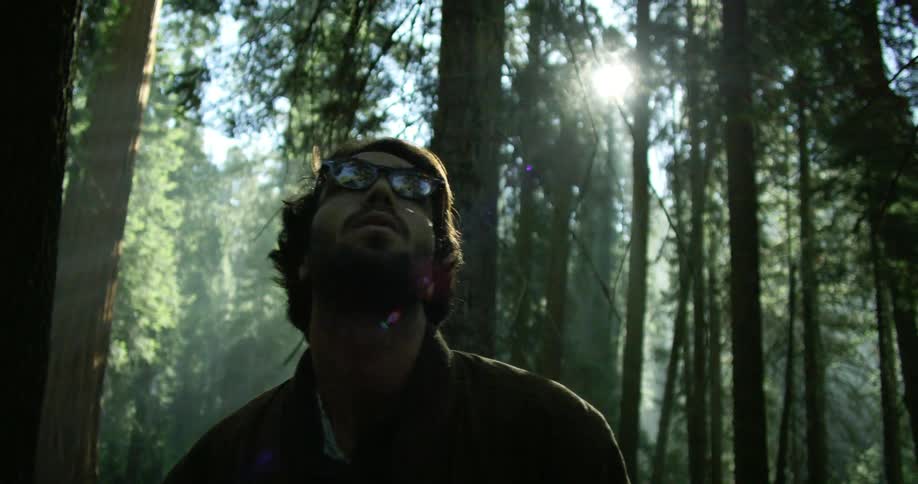 Man looks up at the tall trees in the forest