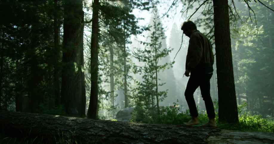 Man walking barefoot across a long fallen tree trunk in the forest