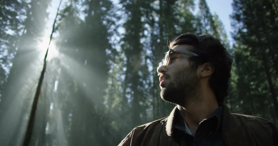 Man looks sideways while the sun shines brightly in the forest