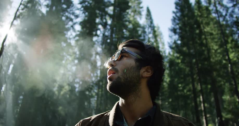 Mans breath shows in air while standing in conifer forest