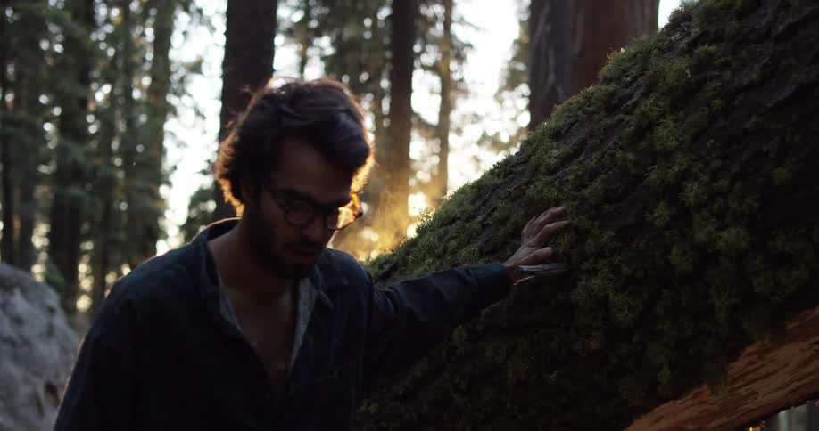 Man walking through the woods rubs his hand against the moss on a fallen tree and looks all around his surroundings