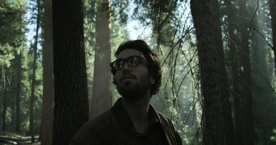 Man stands and looks at the tall trees in the dense dark forest
