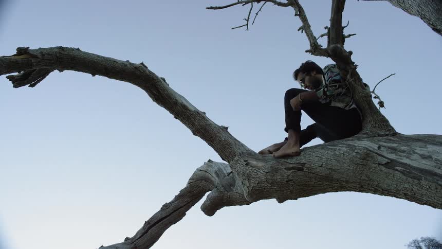 A man sits on the branch of the tree