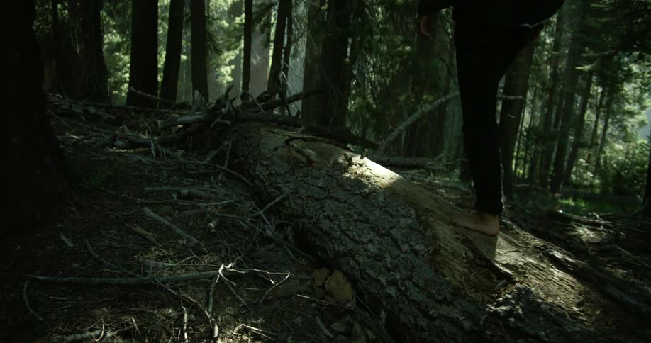 A person walks barefoot over a large log laying on the ground in a heavily wooded area