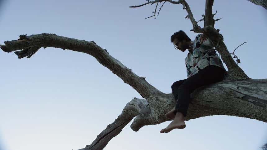 Barefoot man sitting on a very large tree branch