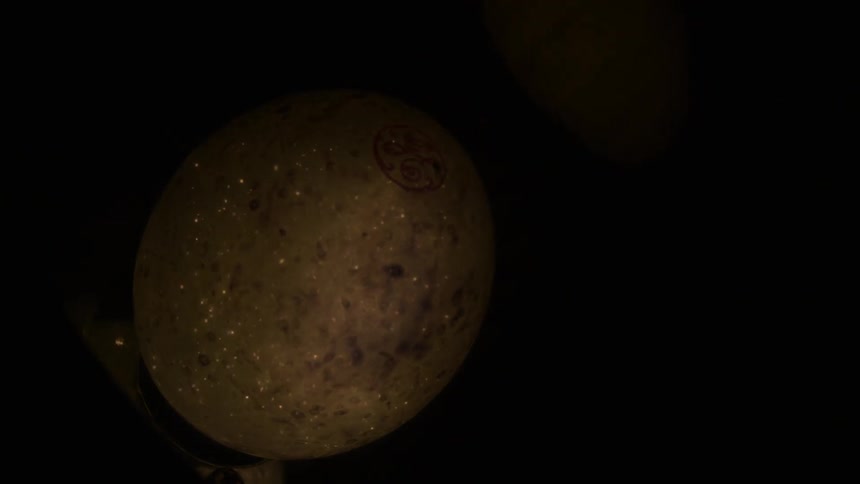 A bulb brightly lights up and then fades off in a dark room