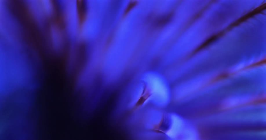 Strands are glowing blue and moving around