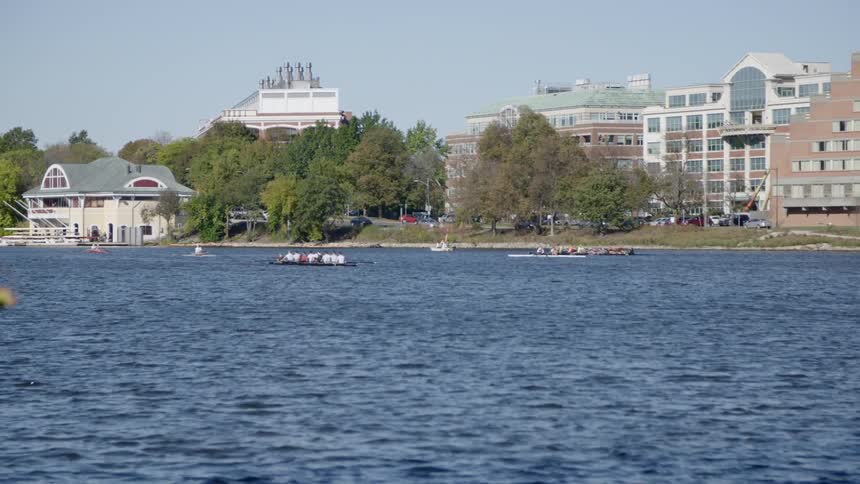 People row on rowboats on a river near tall city buildings