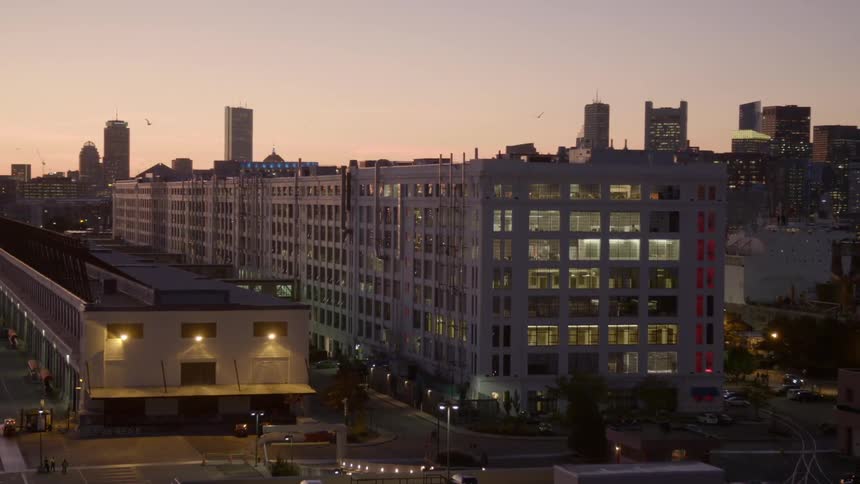 Birds fly over the buildings in the distance