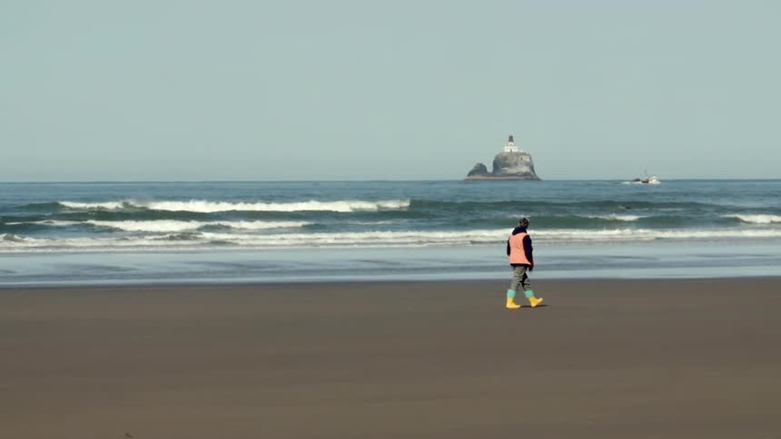 A person is walking across the beach on a cloudy day