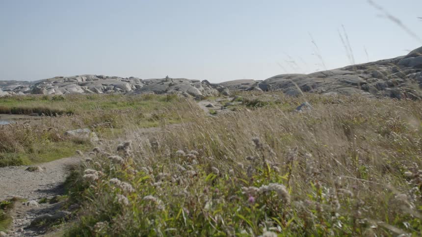 A narrow gravel trail through grass leads to a rock formation