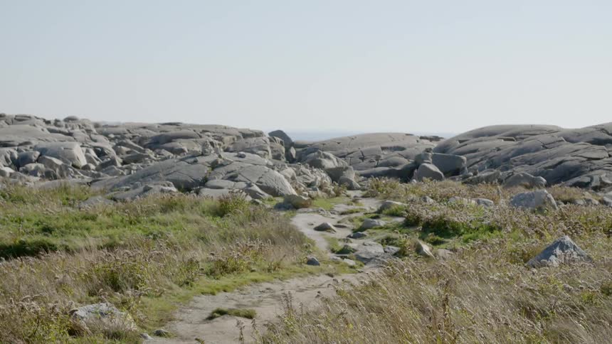 A narrow footpath through grass leads to bedrock