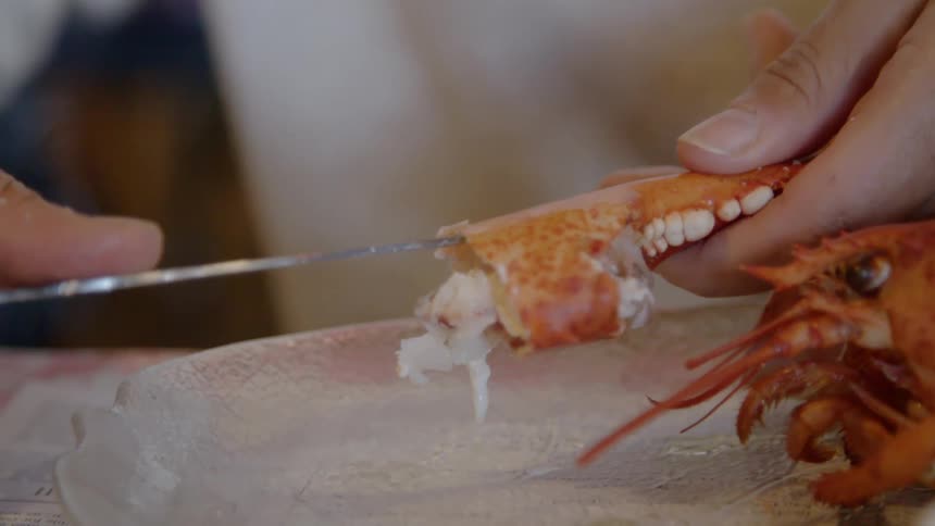 Caucasian person pulls the meat out of the lobster claw