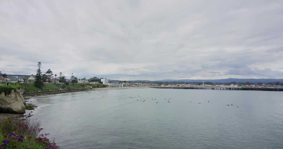 Birds sit on the lake near the shoreline under a cloudy sky