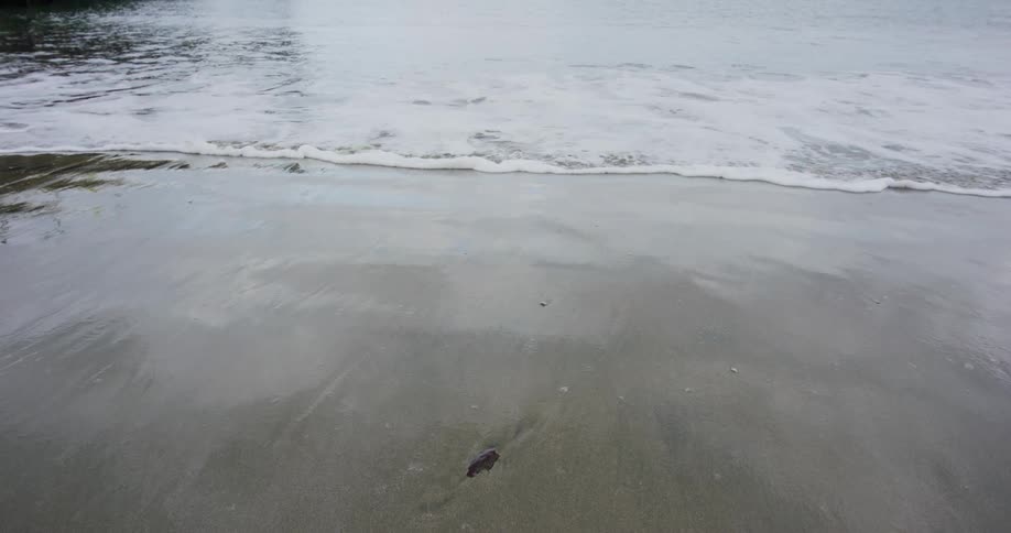 Waves rolling in to the shore