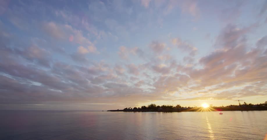 A bird flies over the ocean as the sun rises