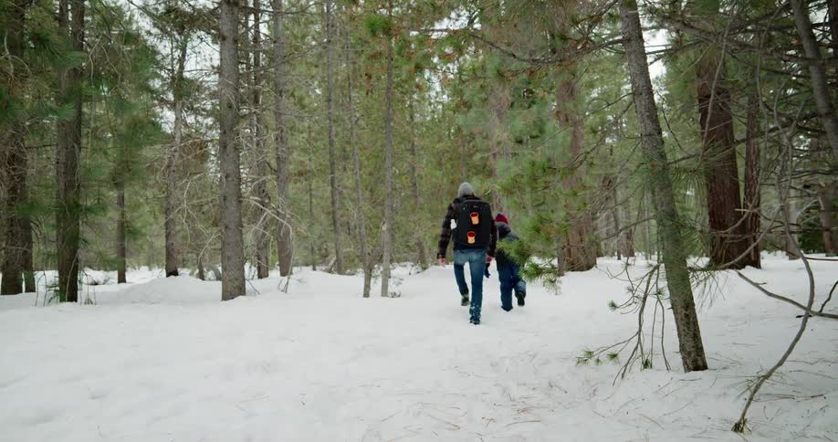 A man and boy walk through a snow covered woods area
