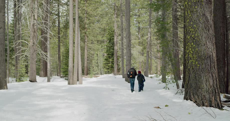 Two people walk through snow toward forest of tall trees