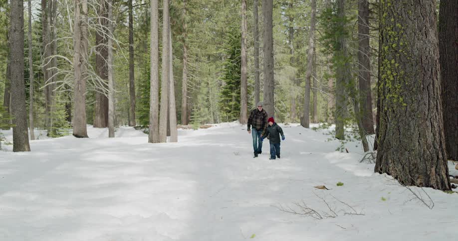 Father and son walks in the snow in the woods