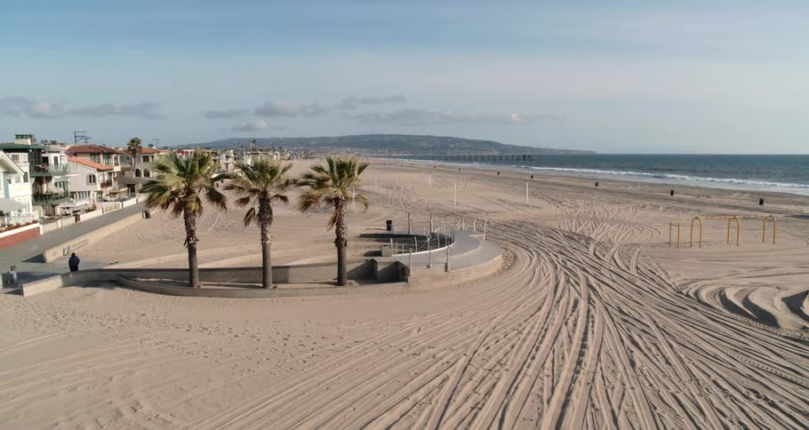 A beach with palm trees sand and houses