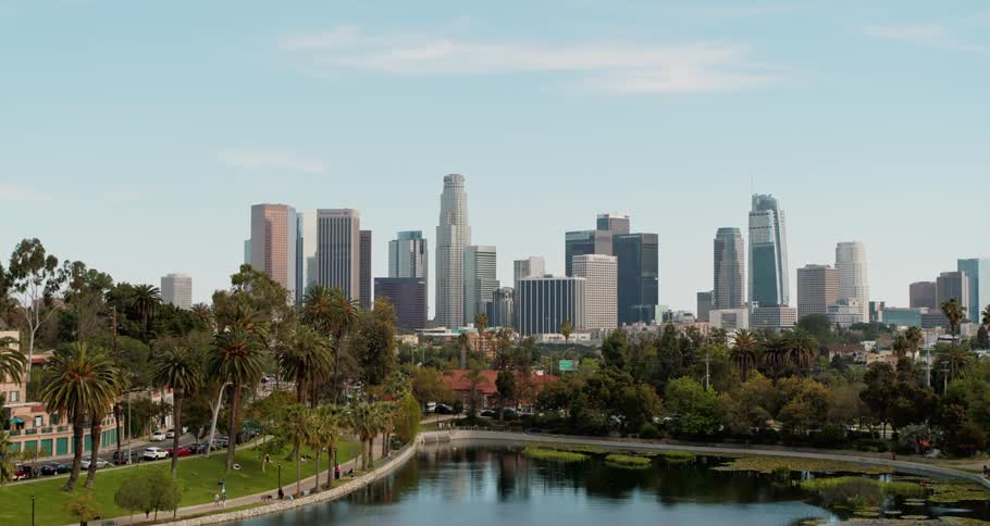 Ducks swim in a pond surrounded by palm trees outside of a busy city