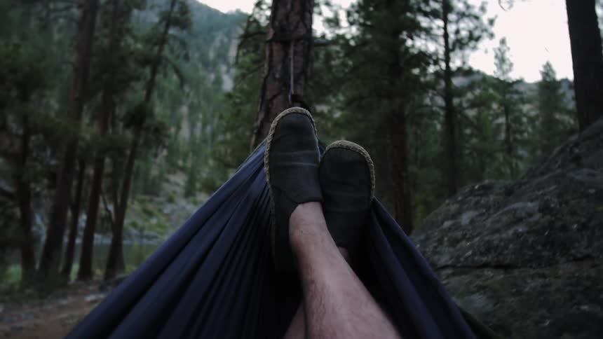 A man swings on a hammock tied to a tree