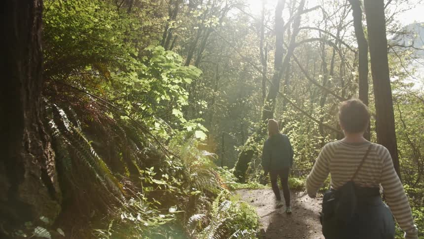 People are hiking down a trail in the forest on a sunny day