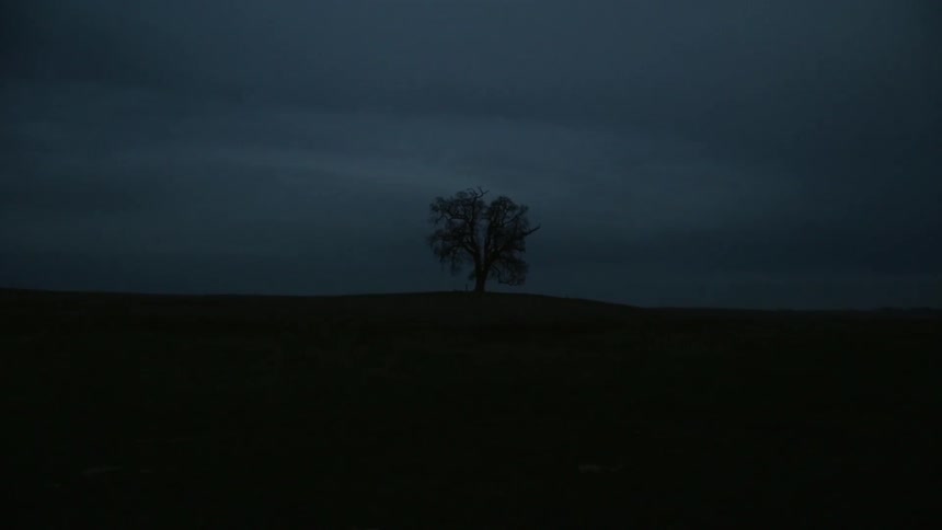 A tree stands alone under a cloudy sky at night