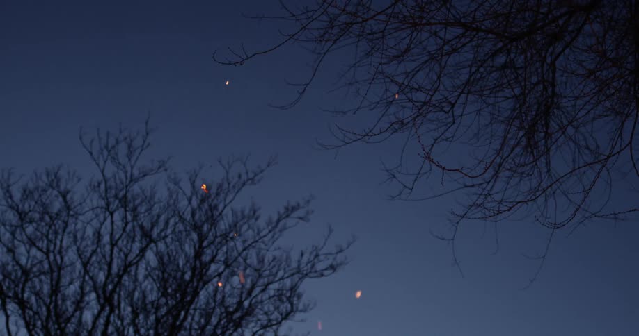 Fire tinder can be seen floating in a night sky