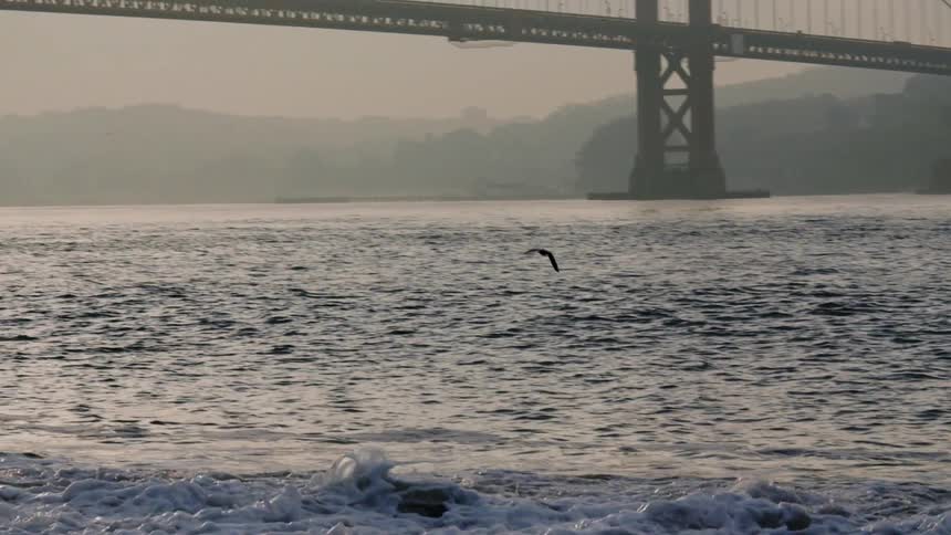 A bird flies over ocean waves with a large bridge in the background